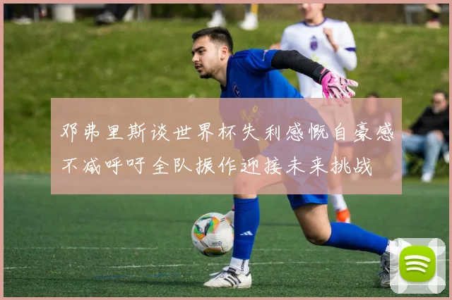邓弗里斯谈世界杯失利感慨自豪感不减呼吁全队振作迎接未来挑战
