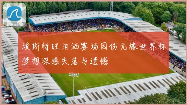 埃斯特旺泪洒赛场因伤无缘世界杯梦想深感失落与遗憾